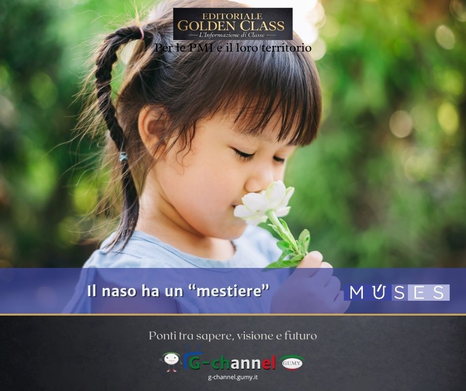 Il naso ha un 